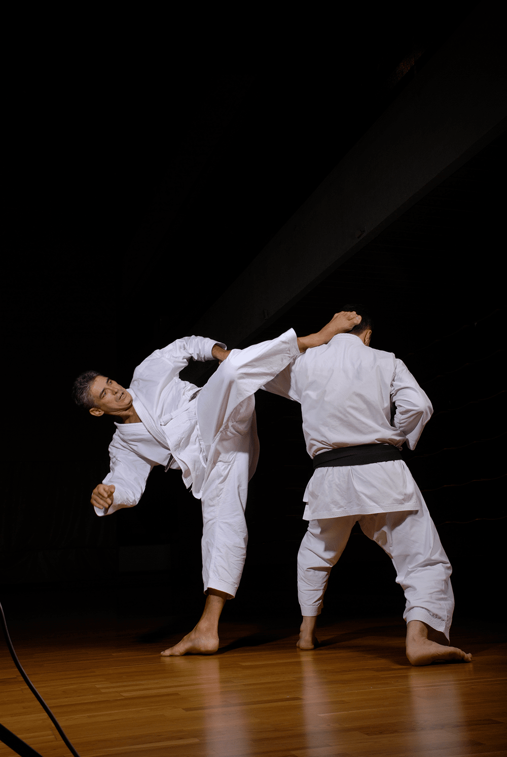 Karate training 1